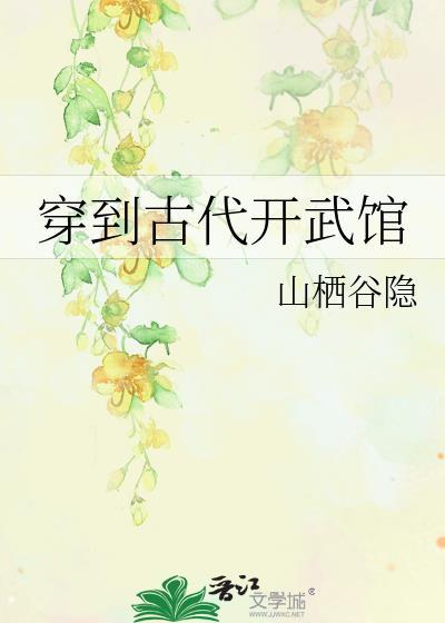 穿到古代开武馆