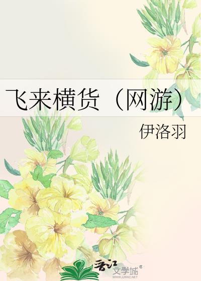 飞来横货（网游）