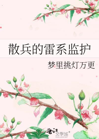 散兵的雷系监护