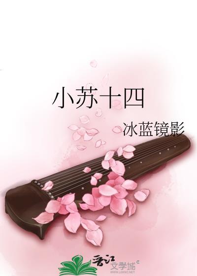 小苏十四
