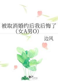 被取消婚约后我后悔了（女A男O）