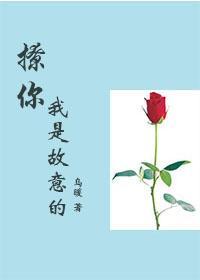 撩你我是故意的