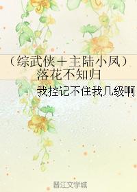 （综武侠＋主陆小凤）落花不知归