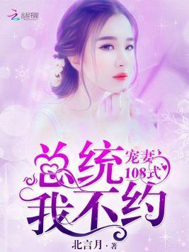 宠妻108式:总统,我不约