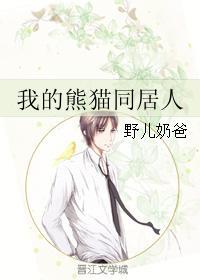 我的熊猫同居人