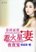 总裁霸爱:星妻,好惹火