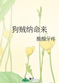 狗贼纳命来