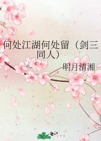 何处江湖何处留