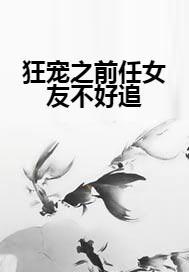 狂宠之前任女友不好追