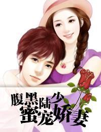 腹黑陆少蜜宠娇妻