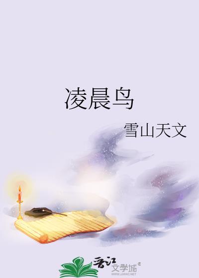 凌晨鸟
