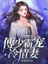 隐婚蜜爱,傅少霸宠冷情妻