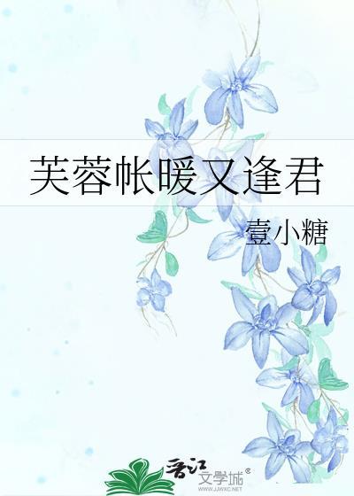 芙蓉帐暖又逢君