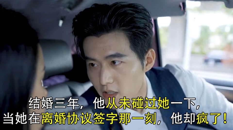 傅总,夫人又闹离婚了