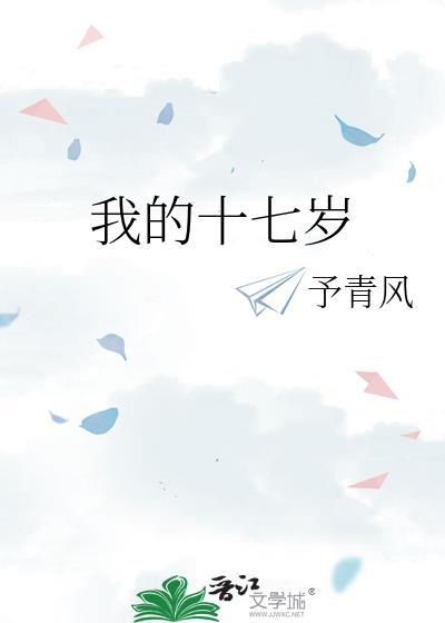 我的十七岁