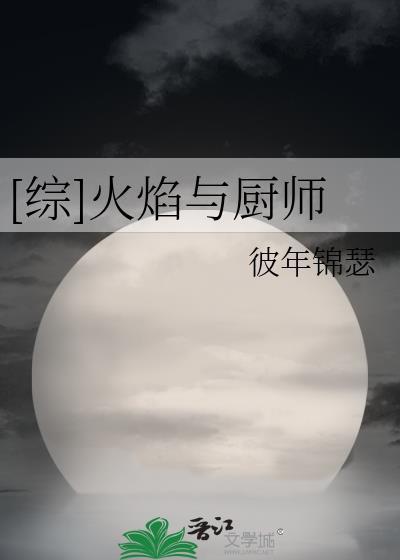 [综]火焰与厨师