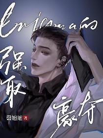 Enigma的强取豪夺