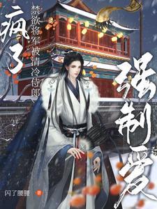 疯了!禁欲将军被清冷侍郎强制爱