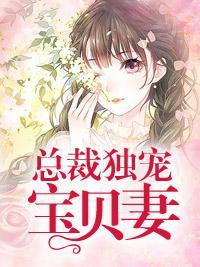总裁独宠宝贝妻