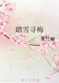 踏雪寻梅