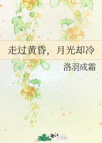 走过黄昏，月光却冷