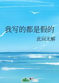 我写的都是假的