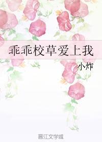 乖乖校草爱上我