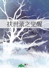 扶世录之觉醒