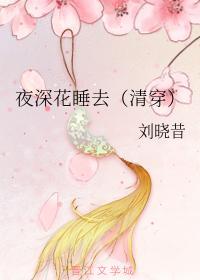 夜深花睡去（清穿）