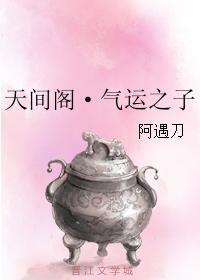 天间阁·气运之子