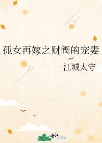 孤女再嫁之财阀的宠妻