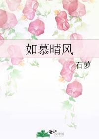 如慕晴风