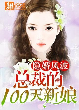 隐婚风波:总裁的100天新娘