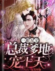 一胎双宝：总裁爹地宠上天