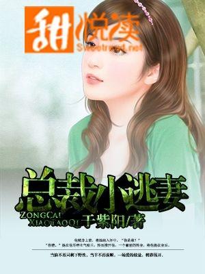 总裁小逃妻