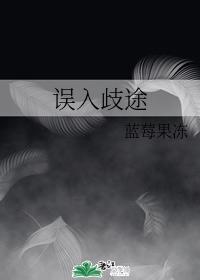 误入歧途