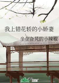 我上错花轿的小娇妻