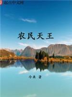 农民天王