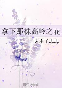 拿下那株高岭之花