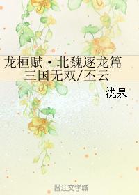龙桓赋·北魏逐龙篇 三国无双