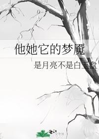 他她它的梦魇