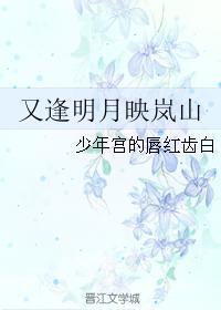 又逢明月映岚山
