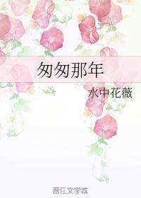 匆匆那年