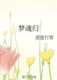 梦魂归