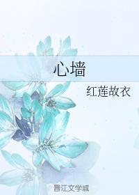 心墻