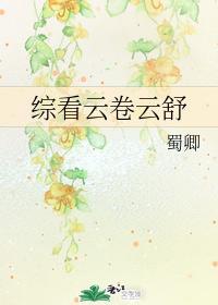 综看云卷云舒