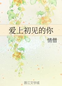 爱上初见的你