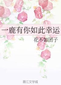 晨鹿夫妇的日常