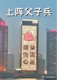 (全职高手)上阵父子兵