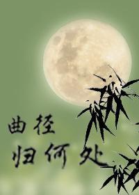 曲径归何处